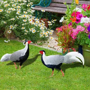Vue détaillée de piquet de jardin faisan argenté réaliste, décoration extérieure.
