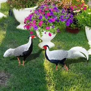 Piquet de jardin decoratif oiseau pelouse ensemble pour decoration exterieure de cour.