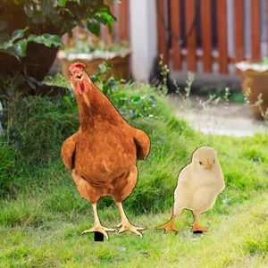 Cute chicken and chick garden stakes for outdoor lawn decoration. Durable yard art decor.