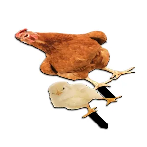 Funny screaming chicken and chick garden stakes, waterproof outdoor lawn yard art decor.