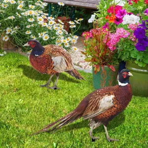 Vue détaillée de piquet de jardin faisan réaliste sur pelouse verte pour décoration extérieure.