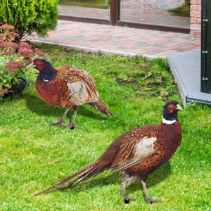 Vue détaillée de piquet de jardin faisan réaliste, idéal pour pelouse et déco extérieure.