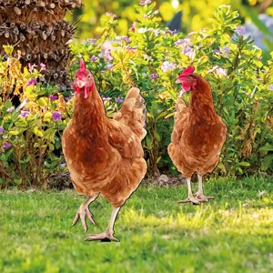 Detailed view of the chicken garden stakes, perfect outdoor lawn and yard decoration.