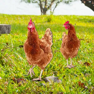 Detailed view of brown chicken yard stakes, perfect for garden and lawn outdoor decoration.