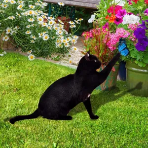 Piquet de jardin chat noir et papillon bleu décoration pelouse art extérieur