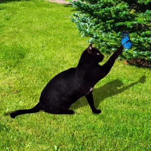 Vue détaillée du piquet de décoration de jardin chat noir et papillon bleu sur pelouse.