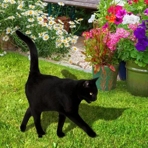 Chat noir décoration de jardin pelouse piquet acrylique métal silhouette animal extérieur