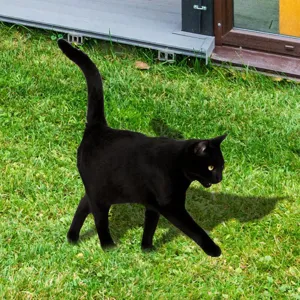 Chat noir decoration de jardin piquet de pelouse ornement cour deco figurine animal