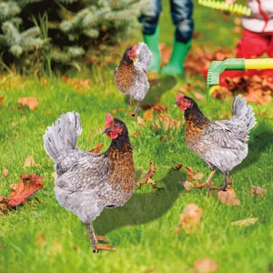 piquet de jardin poule 3d decoration exterieure impermeable pour pelouse cour paysagement