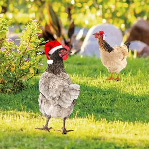 Outdoor garden chicken yard art stake set, decorative metal animal lawn ornament for yard decor.