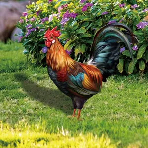 Piquet de jardin coq coloré décoration extérieure pelouse ornement cour art acrylique