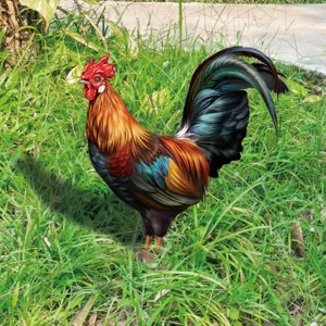 Gros plan du piquet de jardin coq coloré montrant des motifs de plumes vifs et une crête.