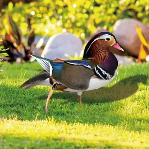 Détail de piquet de jardin canard mandarin coloré, décoration extérieure pour pelouse.