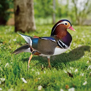 Beau piquet de jardin canard mandarin decoration exterieure pelouse metal ornament