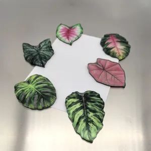 Vue de détail des aimants de réfrigérateur en acrylique motif plantes tropicales, déco.