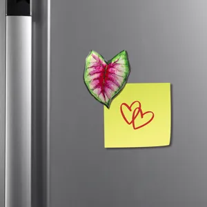 Aimant de réfrigérateur tropical en acrylique, jolie déco de cuisine et porte-notes.