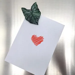 Vue détaillée d'un aimant de réfrigérateur en acrylique motif feuille pour la cuisine.