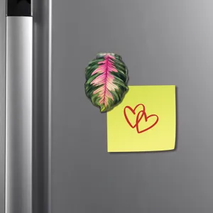 Gros plan d'un aimant de réfrigérateur en acrylique représentant une feuille de plante tropicale.