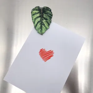Aimant de réfrigérateur plante tropicale en acrylique créatif, sticker feuille verte déco.