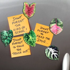 Aimants de réfrigérateur en acrylique feuille de plante tropicale vue de détail cuisine.