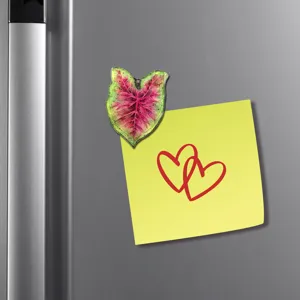 Aimant de frigo tropical en acrylique créatif avec un superbe design de feuille réaliste.