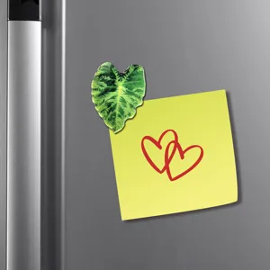 Aimant de refrigerateur en forme de feuille tropicale en acrylique, tres beau decor.