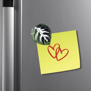 Gros plan d'un aimant de réfrigérateur en forme de feuille de plante tropicale sur un frigo.