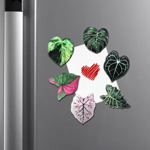 Aimants de réfrigérateur de plantes tropicales, autocollants magnétiques en acrylique pour cuisine.