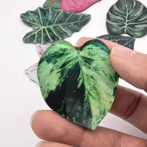 Aimant de réfrigérateur magnétique de plante tropicale en acrylique créatif pour la décoration.