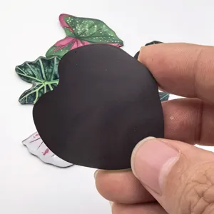 Aimant de réfrigérateur plante tropicale en acrylique autocollant magnétique pour décor