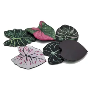 Stickers magnétiques de réfrigérateur en acrylique plante tropicale design de feuilles.