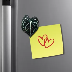 Magnet frigo plante tropicale en acrylique feuille decorative pour la cuisine maison.