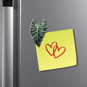 Gros plan détail de l'autocollant magnétique de réfrigérateur de feuille de plante tropicale
