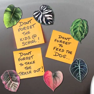 Aimants de réfrigérateur en acrylique plantes tropicales, autocollants de feuilles déco.