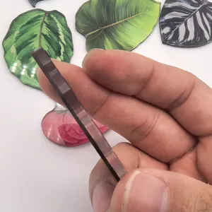 Détail d'aimant de réfrigérateur en acrylique plante tropicale épaisseur et finition