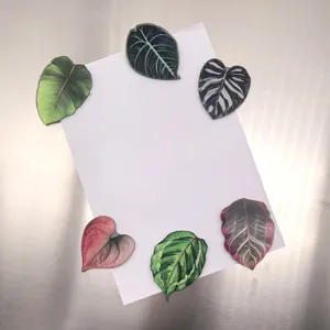 Aimants de réfrigérateur en acrylique en forme de feuille de plante tropicale, détail de l'autocollant.