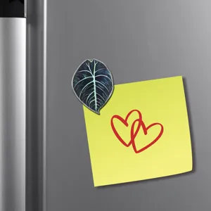 Gros plan detaille de l'aimant de refrigerateur feuille de plante tropicale sur metal.