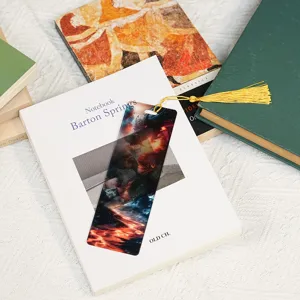 Translucent acrylic bookmark featuring a vibrant dragon pattern and elegant gold tassel.