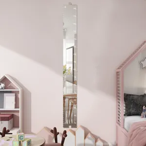 Acrylic mirror height chart detail shot showing clear measurement scales mounted on a pink wall.