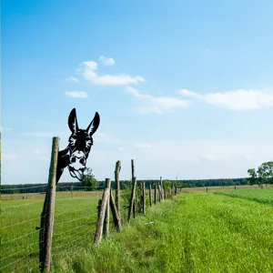Metal donkey garden stake for outdoor yard decoration, cute animal fence peeker silhouette.
