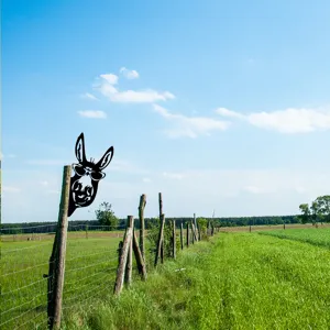 Metal donkey garden stake peeking from wooden fence outdoor yard lawn decoration detail.