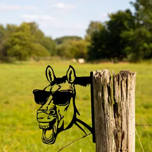 Funny metal donkey garden stake silhouette wearing sunglasses, outdoor yard art decor detail.