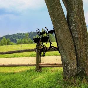 Metal tree peek sculpture funny donkey garden art outdoor decor silhouette tree ornament