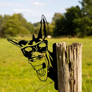Close-up detail of the metal donkey peeking fence decor, rustic garden outdoor ornament sculpture.