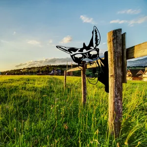 Metal garden animal silhouette stake for creative outdoor lawn yard and fence decoration.