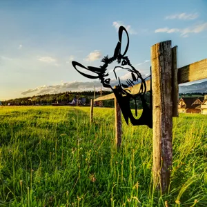 Garden metal donkey stake silhouette outdoor yard lawn decorative ornament detail view.