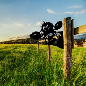 Metal cow fence peeper garden stake, cute farm animal silhouette outdoor yard art decor.