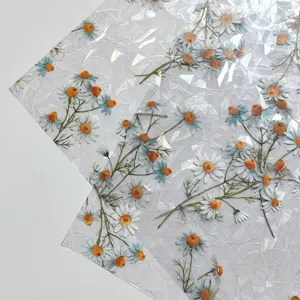 Holographic window film detail showcasing prismatic daisy pattern and rainbow light effect clearly.