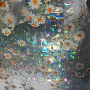 Detail view of holographic window film with daisy pattern, prism rainbow light effect for glass.