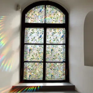 Rainbow window film detail showcasing vivid prismatic suncatcher effect and bird patterns on glass.